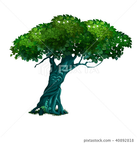 Lonely old deciduous tree isolated on white background. Vector cartoon close-up illustration. 40892818
