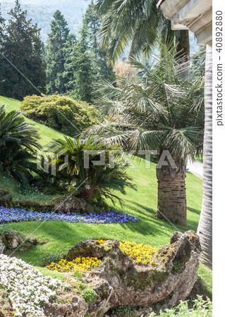 exotic garden Bellagio Italy Como 40892880
