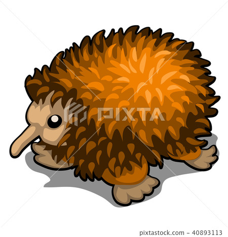 Cartoon echidna isolated on white background. Vector illustration. 40893113