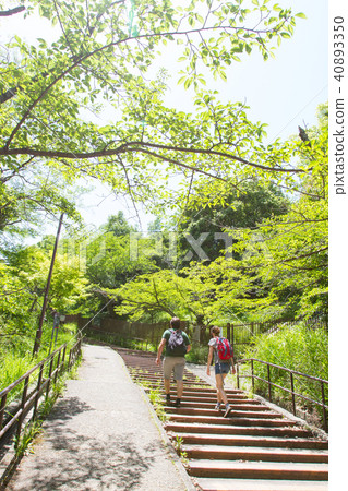 Kitano walking path 40893350