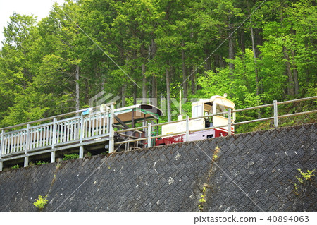 Akazawa Forest Railway 40894063