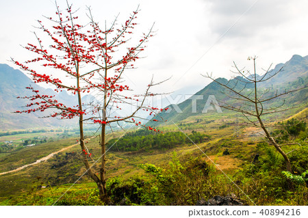 Ha Giang, north extreme loop, North Vietnam, the northern loop Ha Giang, north extreme loop, North Vietnam, the northern loop 40894216