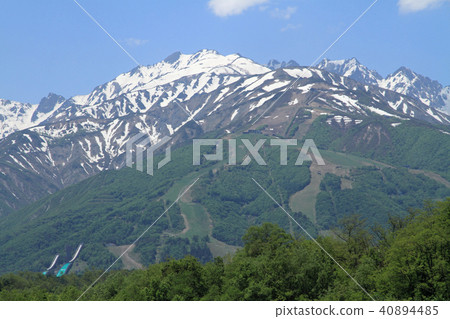 May at the foot of Mount Hakuba Hokkaido North Alps 40894485
