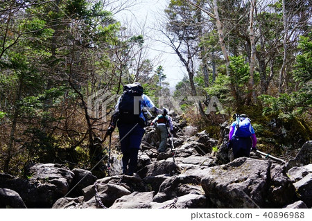 在Tateshina山頂下的岩石領域 40896988