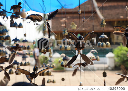 Laos · Luang Prabang 40898000