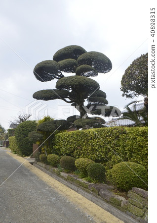 Izumi Samurai Residence Group (Isumizu City, Kagoshima Prefecture) Izumi Samurai Residence Group (Isumizu City, Kagoshima Prefecture) 40898315