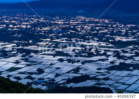 "Toyama prefecture" Dawn of a rice paddy field and Tonami plain of a watercolor "From Ouyoyama" "Toyama prefecture" Dawn of a rice paddy field and Tonami plain of a watercolor "From Ouyoyama" 40898397