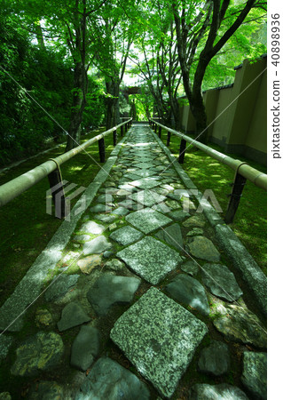 Gwan-ji of the fresh green 40898936