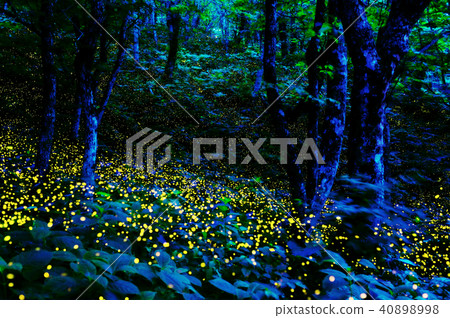 公主大廳 40898998