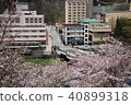 Sakura and Jozankei 40899318