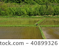 Let's walk on Hokkaido 40899326