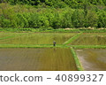 Let's walk on Hokkaido 40899327