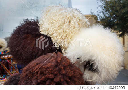 Sheep hats in market Old city Icheri Sheher. Baku 40899905
