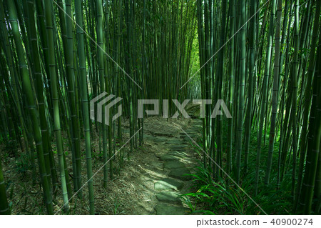 Rakuishi Bamboo Park 40900274