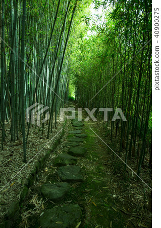 Rakuishi Bamboo Park Rakuishi Bamboo Park 40900275