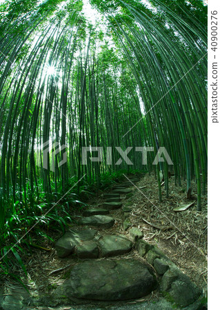 Rakuishi Bamboo Park 40900276