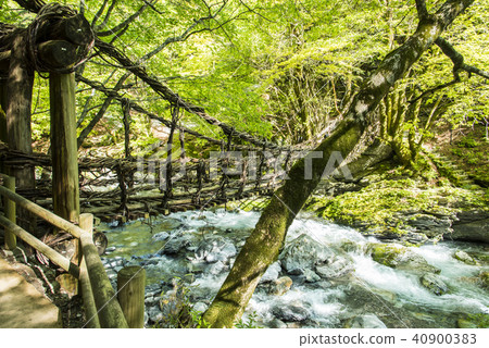 Oku Iya Double Kazura Bridge 40900383