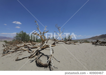 Death Valley National Park Death Valley National Park 40900467