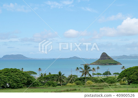 china mens hat in hawaii