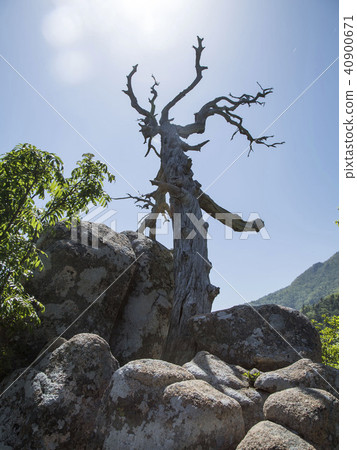 Mt. Seolak Mt. Seolak 40900671