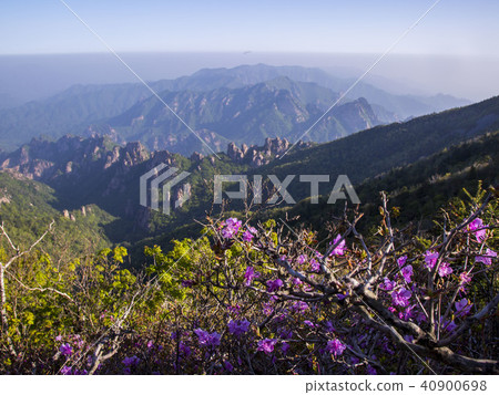 Mt. Seolak Mt. Seolak 40900698