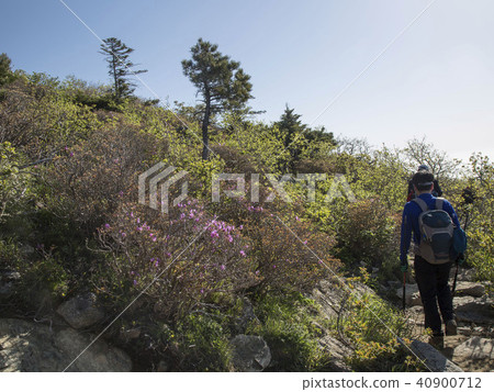 Mt. Seolak Mt. Seolak 40900712