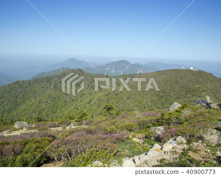塞拉克山 40900773
