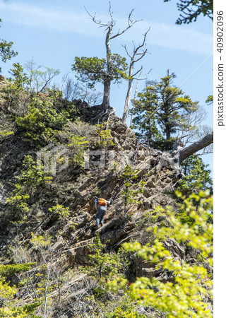 我要直奔 我要直奔 40902096