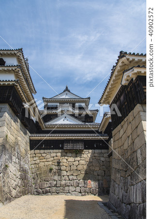 Matsuyama Castle 40902572