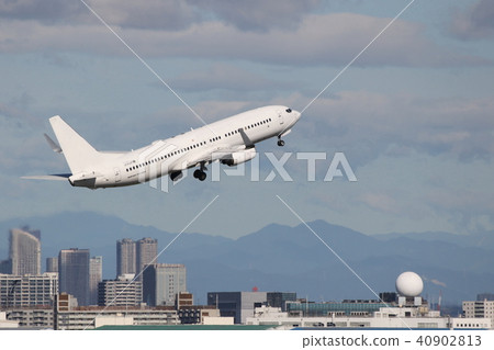 Humming Bird Departure Humming Bird Departure 40902813