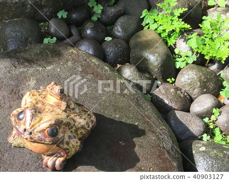 Frog ornament Frog ornament 40903127