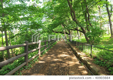 Tamagawa Kamimido Green road 40903664