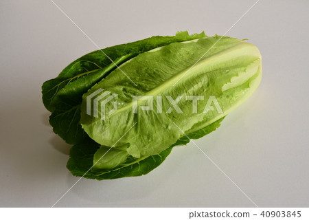 Romaine lettuce 40903845