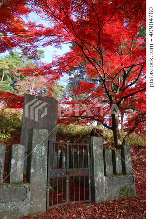 秋天的南湖公園（白川市·福島縣） 40904780