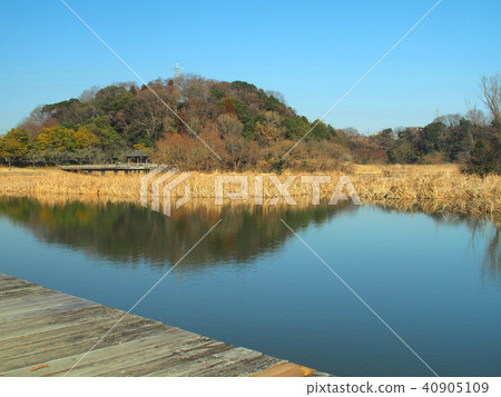 Sendabori池塘冬天風景 40905109