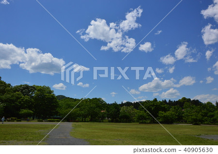 Odano Central Park八王子市春天 40905630