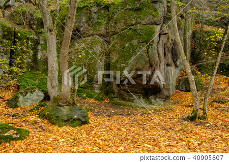 Autumn time of the year. 40905807