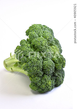 broccoli broccoli 40905921