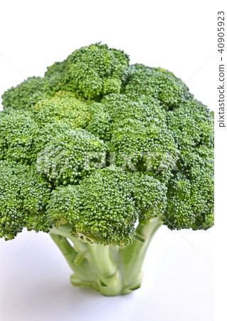 broccoli broccoli 40905923