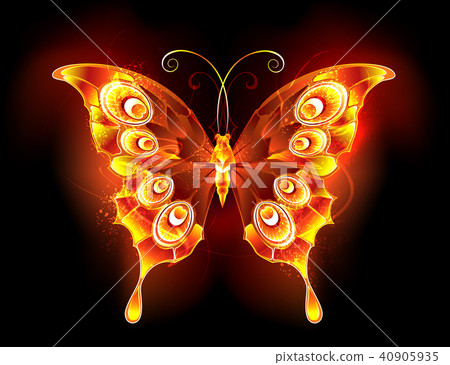 Fire butterfly peacock Fire butterfly peacock 40905935