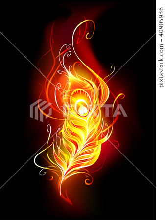 Fire peacock feather 40905936