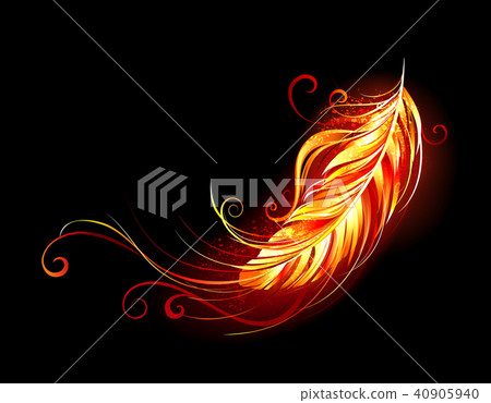 Flaming feather Flaming feather 40905940