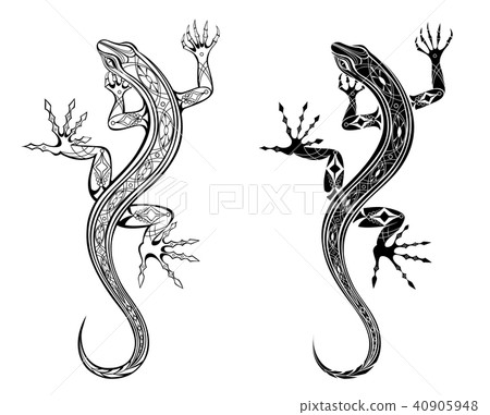 Two lizards 40905948
