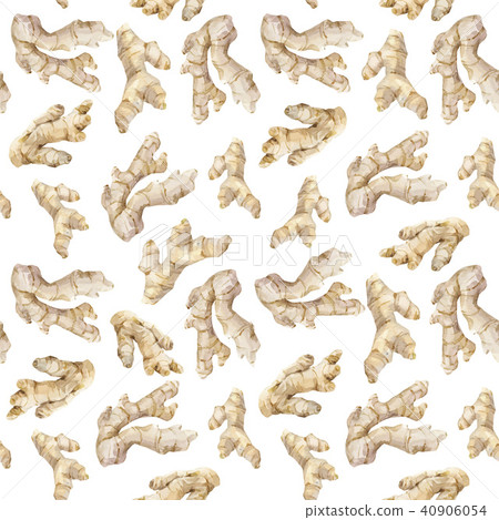 Watercolor ginger vector pattern Watercolor ginger vector pattern 40906054