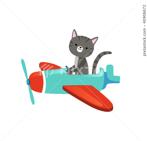 Gray kitten with cute muzzle flying on colorful airplanes. Cartoon domestic animal character. Flat 40906672