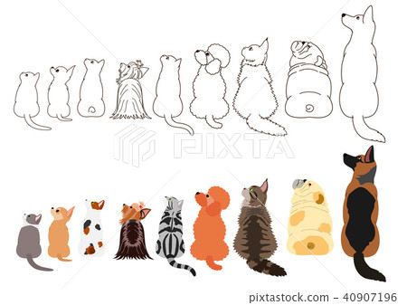 Dog and cat's border set looking up sideways Dog and cat's border set looking up sideways 40907196