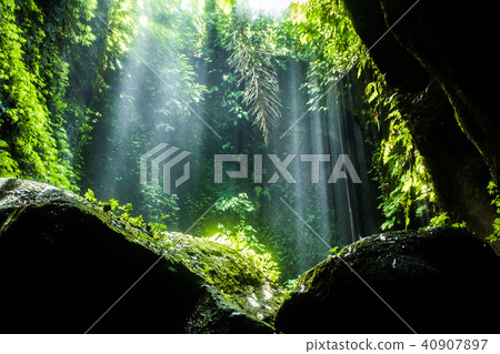 Tukad waterfall, Bali, Indonesia Tukad waterfall, Bali, Indonesia 40907897