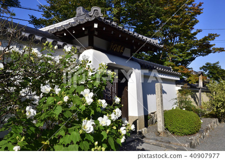 Tenryu-ji Temple Temple Chichu-shi Waterwolves Fukushi Uni Benten Furong 40907977