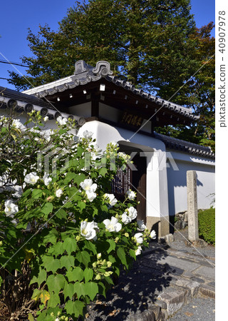 Tenryu-ji Temple Temple Chichu-shi Waterwolves Fukushi Uni Benten Furong Tenryu-ji Temple Temple Chichu-shi Waterwolves Fukushi Uni Benten Furong 40907978
