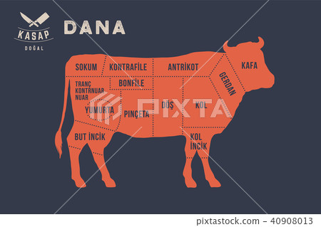 Meat cuts. Poster Butcher diagram - Dana 40908013
